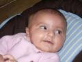 img007.jpeg.small.jpeg
