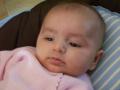 img009.jpeg.small.jpeg