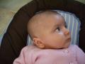 img010.jpeg.small.jpeg