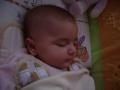 img014.jpeg.small.jpeg