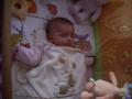 img015.jpeg.small.jpeg