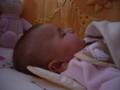 img016.jpeg.small.jpeg