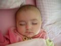 img017.jpeg.small.jpeg