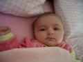 img018.jpeg.small.jpeg