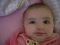 img019.jpeg.small.jpeg