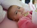 img021.jpeg.small.jpeg
